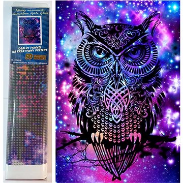 

Norimpex Magická sova 30 × 40 cm