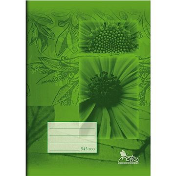 

NOTES č. 545, A5, 40 listů, čtverečkovaný, recyklovaný