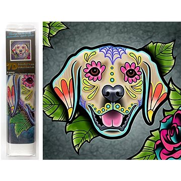 

Norimpex 7D Labrador 30× 30cm