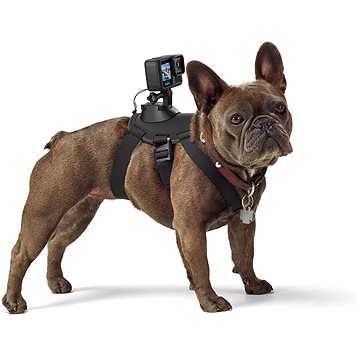 

GoPro Psí postroj (Fetch)