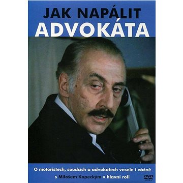 

Bontonfilm Jak napálit advokáta (DVD) – papírový obal