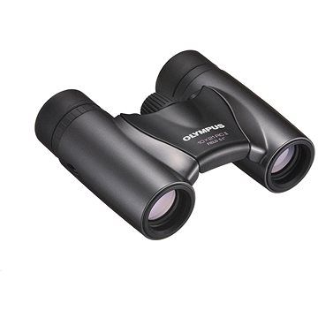 

Olympus 10x21 RC II Dark Silver