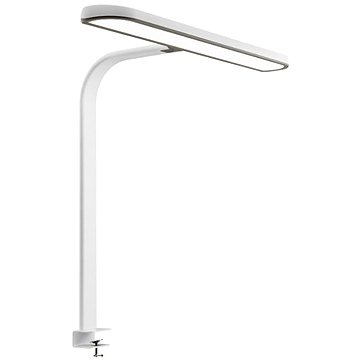 eliNeli Stolní lampa LED s klipem, bílá