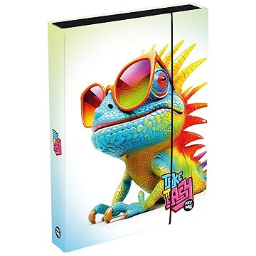 Oxybag Box na sešity A4 Jumbo Chameleon