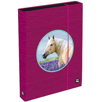 Oxybag Box na sešity A4 Jumbo OXY Sherpy Pink