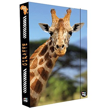 Oxybag Box na sešity A4 Jumbo Žirafa
