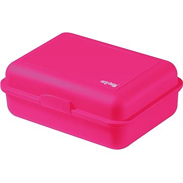 

Oxybag Box na svačinu rose-mat