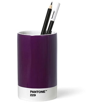 PANTONE porcelánový, Aubergine 229