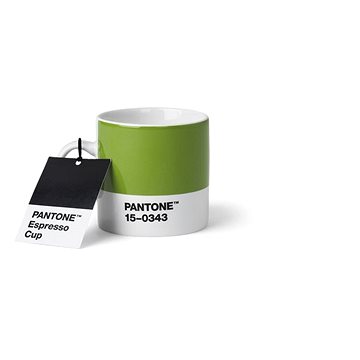 

PANTONE Espresso - Green 15-343, 120 ml