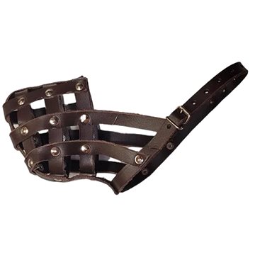 

Palkar kožený náhubek pro psy vel. 4, 32 × 9 cm, hnědý