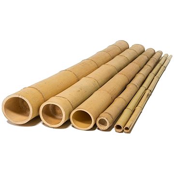 

Altx TEAK Bambusová tyč velká 80 cm 8 až 10 cm průměr