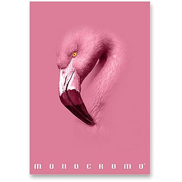 

PIGNA Monocromo Pink A4 šitý, linkovaný, náhodný motiv