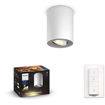 

Philips Hue White Ambiance Pillar Hue single spot white 1x5W 2 30V