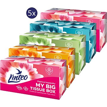 

LINTEO Box (5× 200 ks)