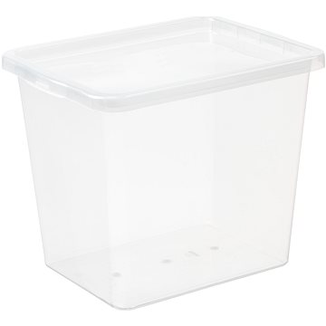 

Plast Team Úložný box 31 l, 42,5 × 33 × 34,7 cm Basic box, čirý