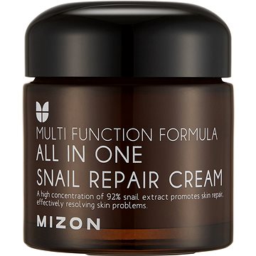 MIZON All In One Snail Repair Cream 75 ml - Pleťový krém