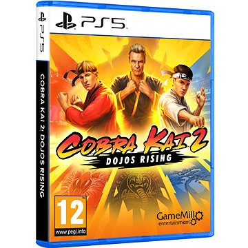 ps5 cobra kai 2