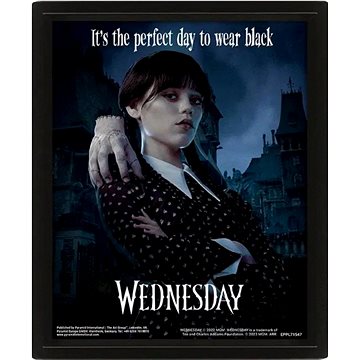 

Netflix Wednesday: Perfect Day - 3D obraz