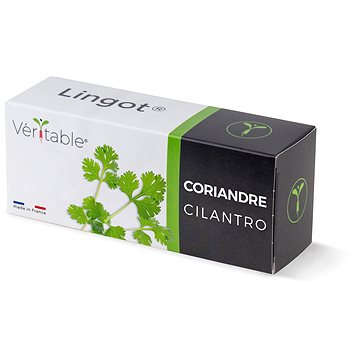 

Véritable Lingot Koriandr