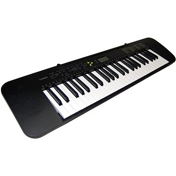 

CASIO CTK 240