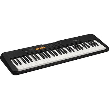 

CASIO CT S100