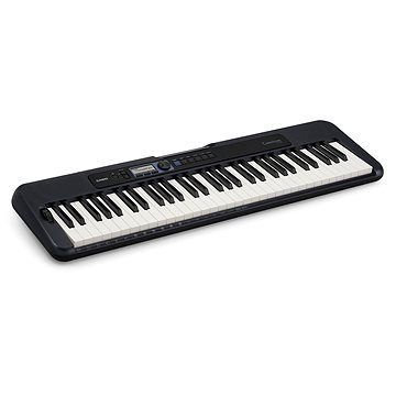 

CASIO CT S300