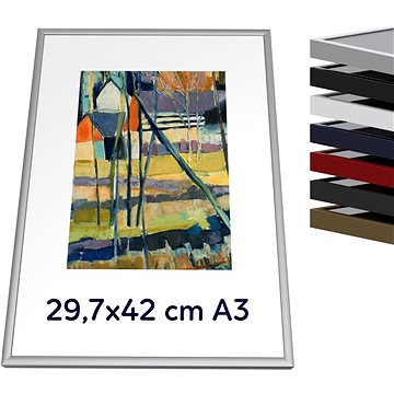 

THALU Kovový rám 29,7x42 A3 cm Zlatá