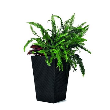 

KETER Obal na květináč RATTAN PLANTER S