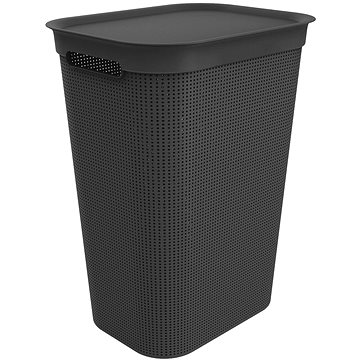 

Rotho Brisen 50L - černá