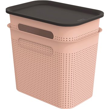 

Rotho BRISEN Set boxů s víkem 7 l 2 ks, růžová