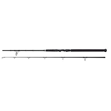 

MADCAT Black Spin 2,4m 40-150g