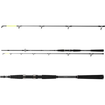 

Daiwa Seahunter X 2,6 m 60-180 g