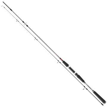 

Daiwa Seahunter X 2,7 m 100-200 g