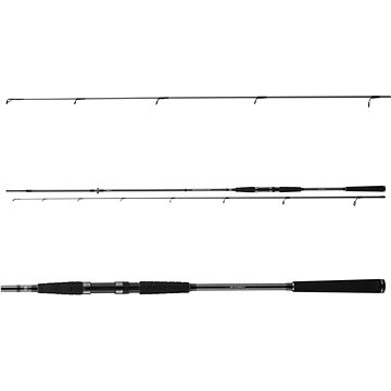 

Daiwa Seahunter X Seatrout 3,1 m 10-40 g