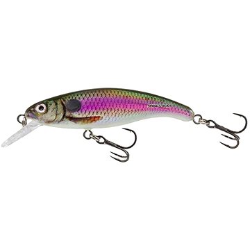 

Salmo Wobler Slick Stick Floating 6 cm, 15 g Spot Bait