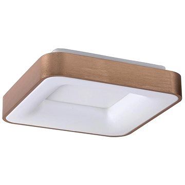 

Rabalux - LED Stropní svítidlo CARMELA LED/30W/230V
