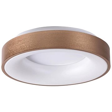 

Rabalux - LED Stropní svítidlo CARMELA LED/50W/230V