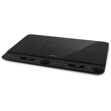 

Salente InductPro2
