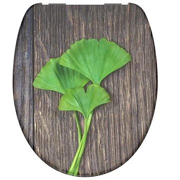 

SCHÜTTE GINGKO und WOOD Duroplast, Soft Close