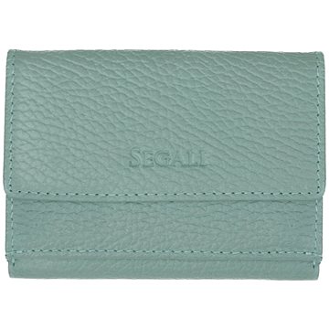 

SEGALI 1756 B sage