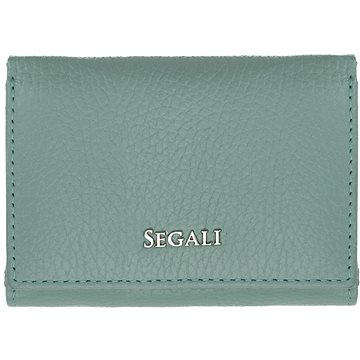 

SEGALI 7106 B sage