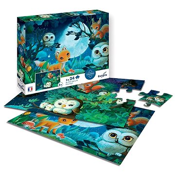 

Sentosphere Puzzle - Za měsíčního svitu