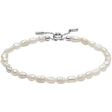 

Skagen Dámský náramek ocelový SKJ1833040