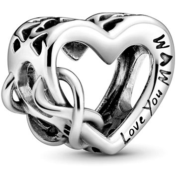 

PANDORA Moments People 798825C00 (Ag925/1000, 2,1 g)