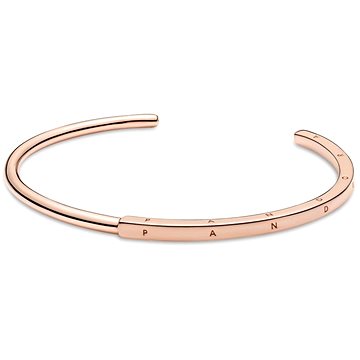 

PANDORA Signature 589493C00-1