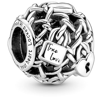 

PANDORA Moments 790071C00 (Ag 925/1000, 2,4 g)