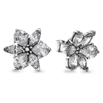 

PANDORA TIMELESS 292633C01 (Ag 925/1000, 0,83 g)