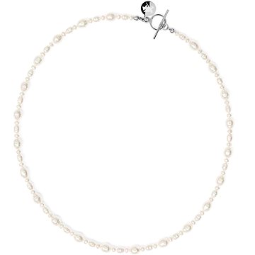 

FURIOSA Nerrisa Choker stříbrný