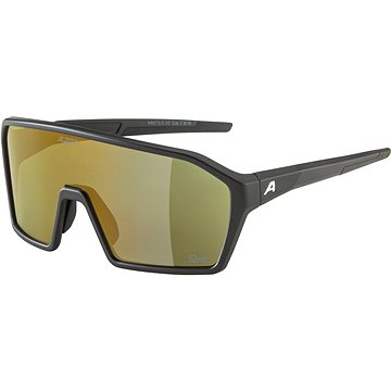 

Alpina RAM Q-Lite black matt, green