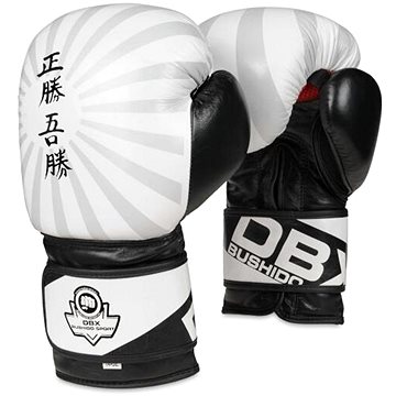 

B-2V8 10 OZ BOXERSKÉ RUKAVICE DBX BUSHIDO